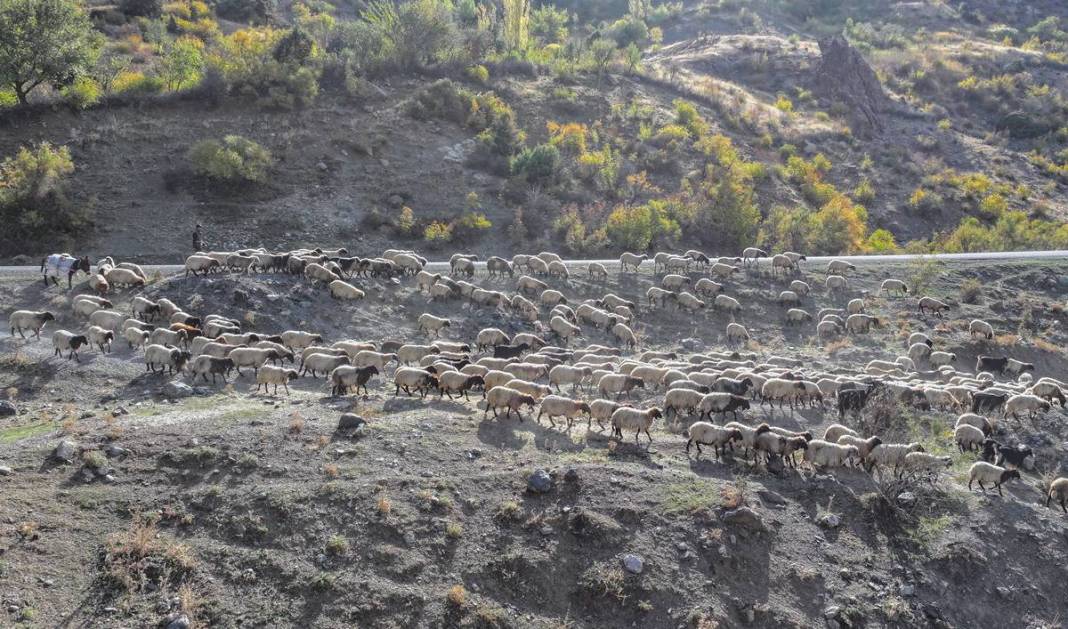 9 virajlı yolda Koçerlerin Diyarbakır’a dönüş yolculuğu 7